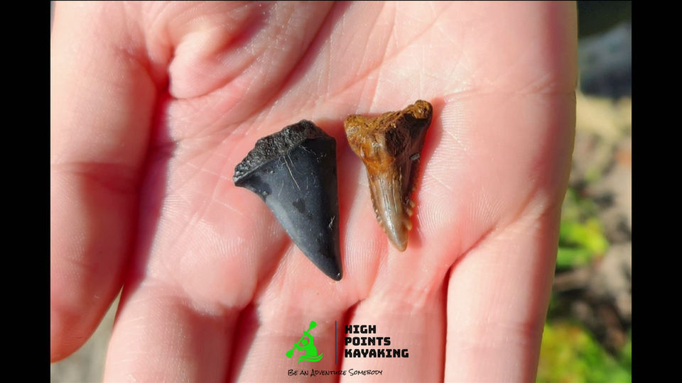 High Points Kayaking